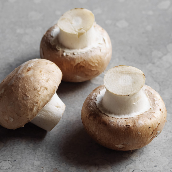 Tips Tricks And Facts Australian Mushrooms