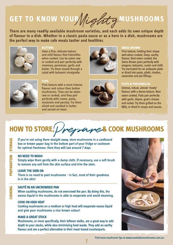 Get to know your Mighty Mushrooms